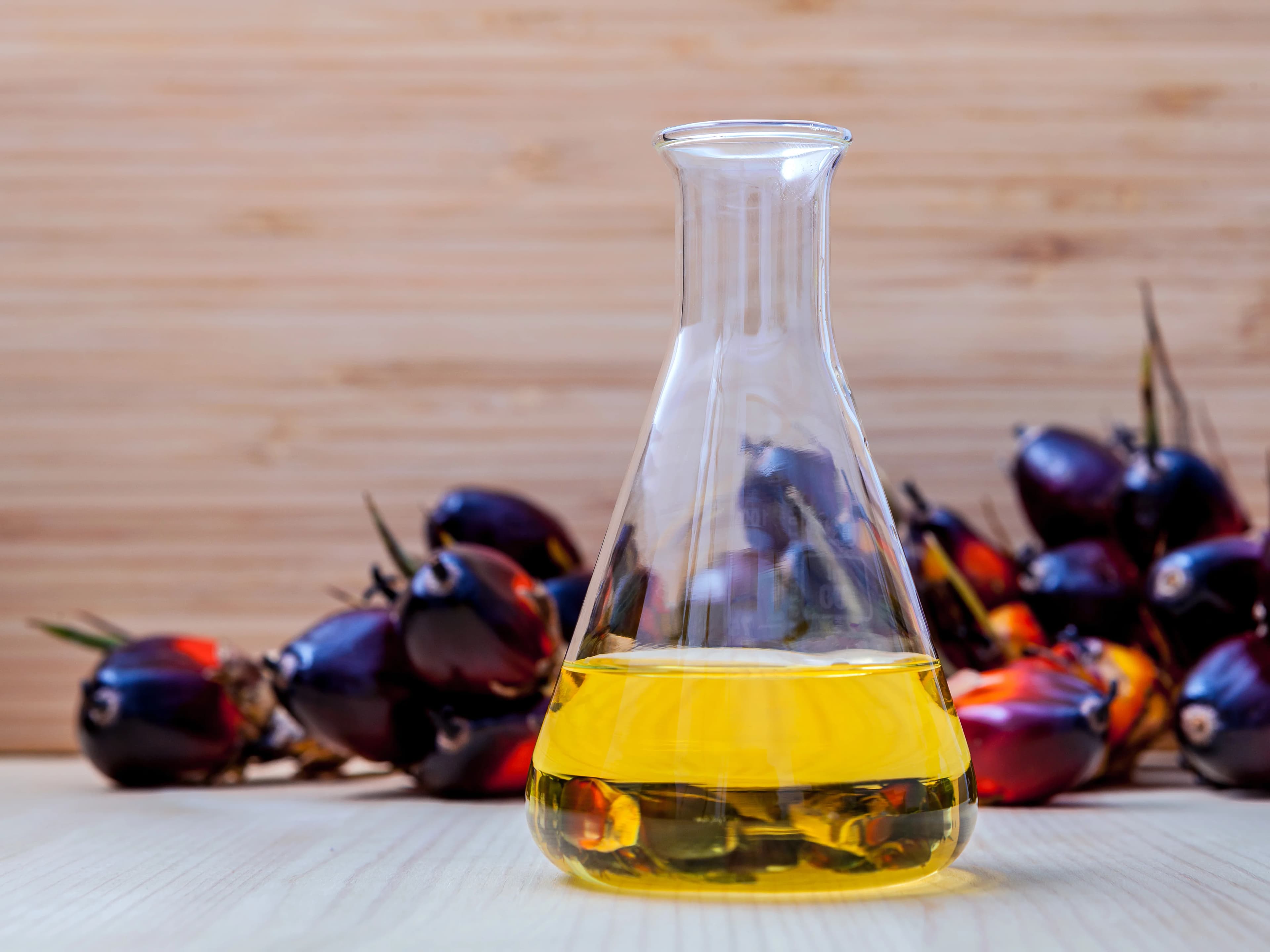 Premium high-grade palm oil extraction and refining process in a pristine agricultural facility